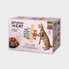 PrimaCat Classic multipack i gele 12 x 85 g