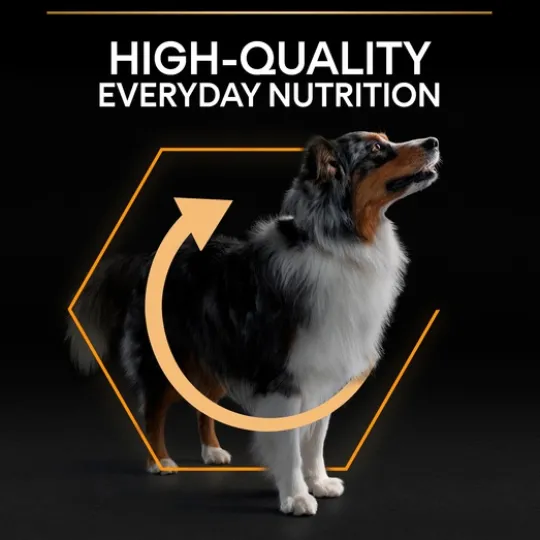 Purina Pro Plan Small & Mini Adult Dog Rikt på Kyckling 7 kg