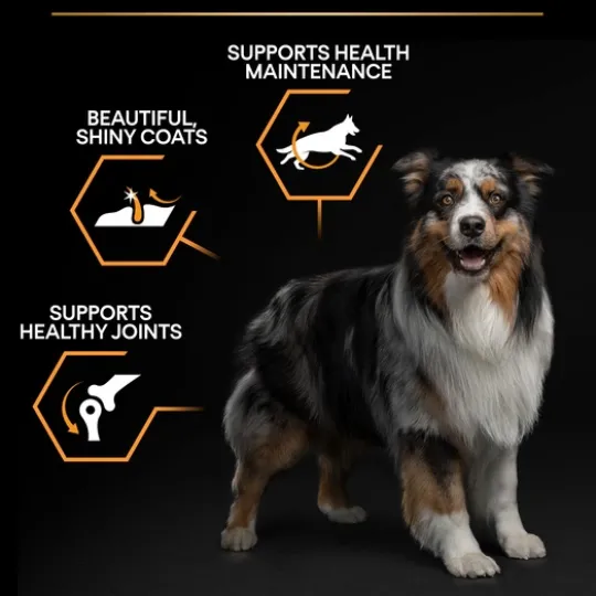 Purina Pro Plan Small & Mini Adult Dog Rikt på Kyckling 7 kg