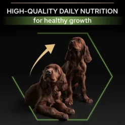 Purina Pro Plan Small & Mini Puppy Rikt på Kyckling 7 kg