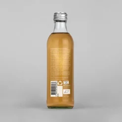 Renée Voltaire Kombucha Hallon & Fläder EKO 275 ml