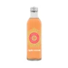 Renée Voltaire Kombucha Rosa Grapefrukt & Guava EKO 275 ml