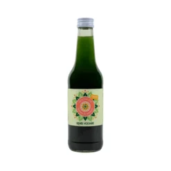 Renée Voltaire Matcha Iste Persika & Mango EKO 330 ml