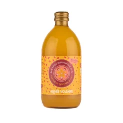 Renée Voltaire Raw Äppelcidervinägerdryck Gurkmeja, Ingefära & Chili EKO 500 ml