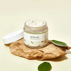Round Lab Soybean Nourishing Cream 80 ml
