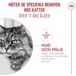 Royal Canin Ageing 11+ Bitar i Gelé Våtfoder för Katt 1,02 kg