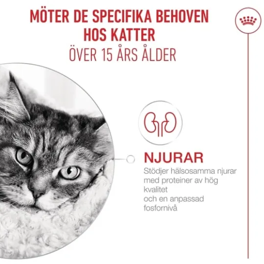 Royal Canin Ageing 15+ Bitar i Sås Våtfoder för Katt 1,02 kg