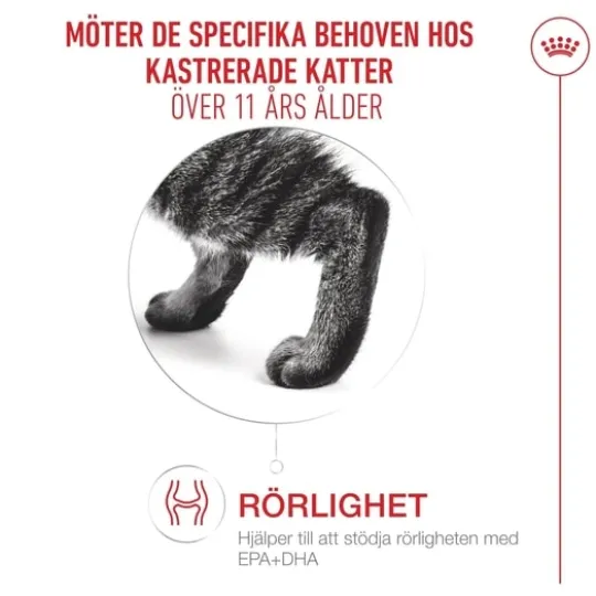 Royal Canin Ageing 11+ Sterilised Torrfoder för Katt 2 kg