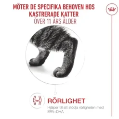 Royal Canin Ageing 11+ Sterilised Torrfoder för Katt 4 kg