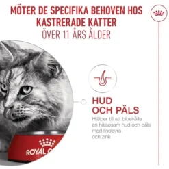 Royal Canin Ageing 11+ Sterilised Torrfoder för Katt 4 kg