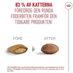 Royal Canin Ageing 15+ Torrfoder för Katt 2 kg