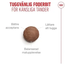 Royal Canin Ageing 15+ Torrfoder för Katt 2 kg