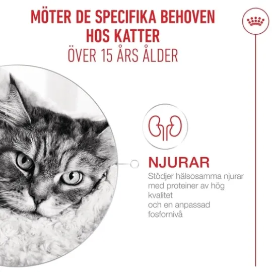 Royal Canin Ageing 15+ Torrfoder för Katt 2 kg