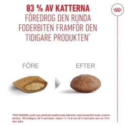 Royal Canin Ageing 15+ Torrfoder för Katt 2 kg