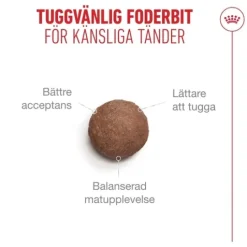 Royal Canin Ageing 11+ Torrfoder för Katt 4 kg