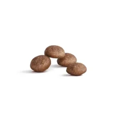 Royal Canin Ageing 11+ Torrfoder för Katt 2 kg