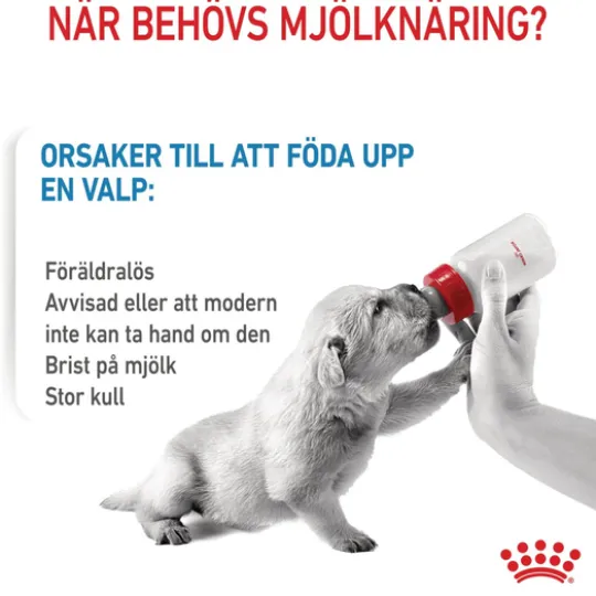Royal Canin Babydog Milk Mjölk för Hundvalp 400 g