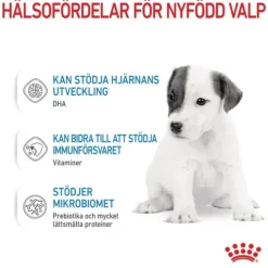 Royal Canin Babydog Milk Mjölk för Hundvalp 400 g