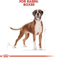 Royal Canin Boxer Adult Torrfoder för Hund 12 kg