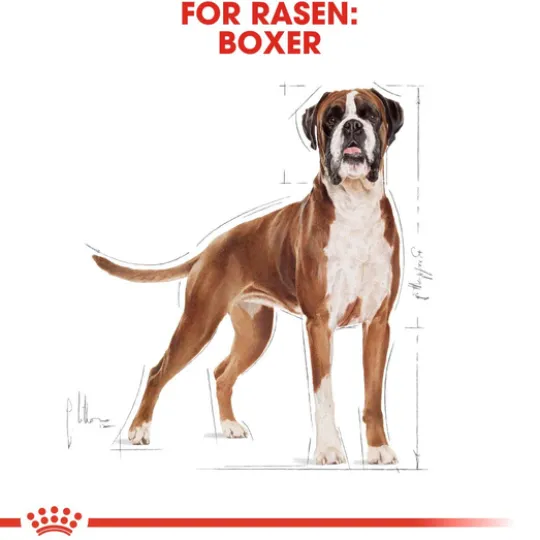 Royal Canin Boxer Adult Torrfoder för Hund 12 kg