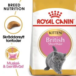 Royal Canin British Shorthair Kitten Torrfoder för Kattunge 2 kg