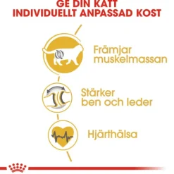 Royal Canin British Shorthair Adult Torrfoder för Katt 2 kg