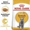 Royal Canin British Shorthair Adult Torrfoder för Katt 10 kg