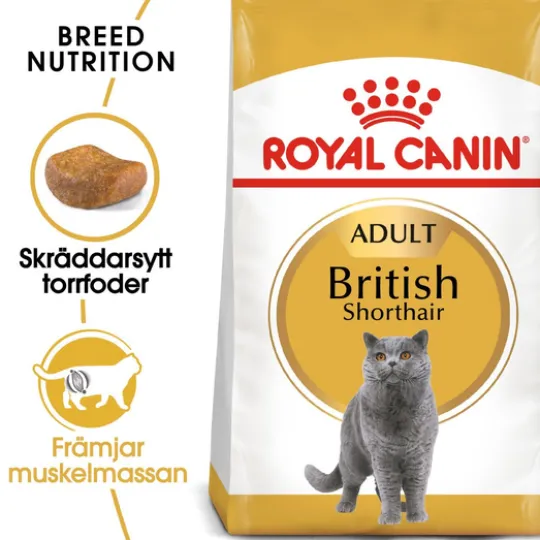 Royal Canin British Shorthair Adult Torrfoder för Katt 10 kg
