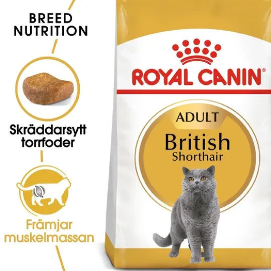 Royal Canin British Shorthair Adult Torrfoder för Katt 2 kg
