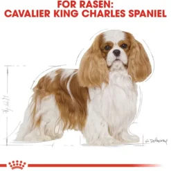 Royal Canin Cavalier King Charles Adult Torrfoder för Hund 7,5 kg