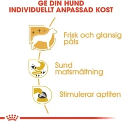 Royal Canin Chihuahua Adult Loaf Våtfoder för Hund 1,02 kg