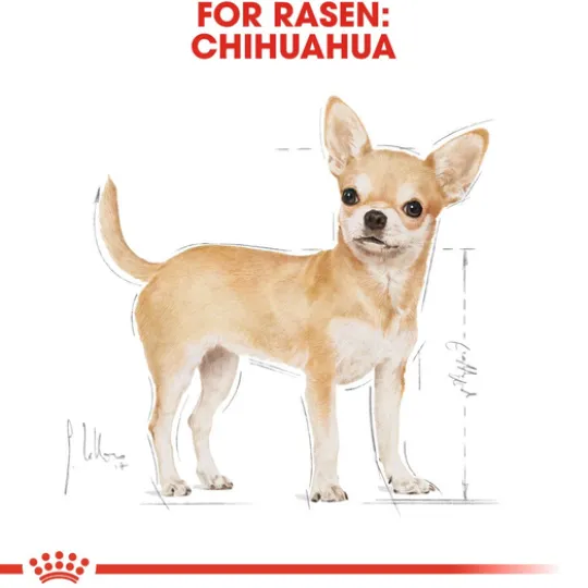 Royal Canin Chihuahua Adult Torrfoder för Hund 1,5 kg