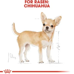 Royal Canin Chihuahua Adult Torrfoder för Hund 3 kg