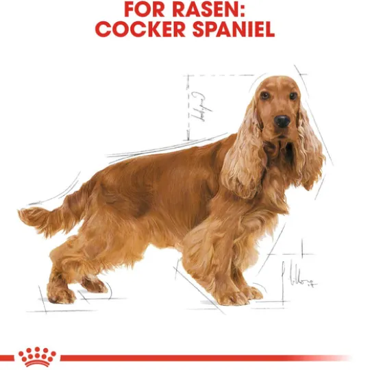 Royal Canin Cocker Adult Torrfoder för Hund 3 kg