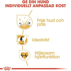 Royal Canin Cocker Adult Torrfoder för Hund 12 kg
