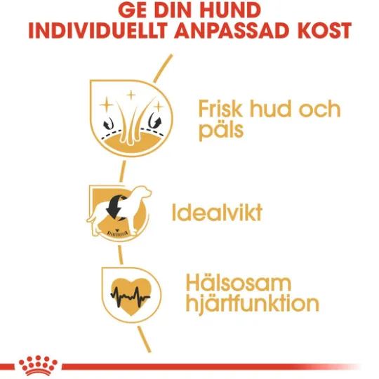 Royal Canin Cocker Adult Torrfoder för Hund 12 kg