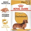 Royal Canin Dachshund Adult Loaf Våtfoder för Hund 1,02 kg