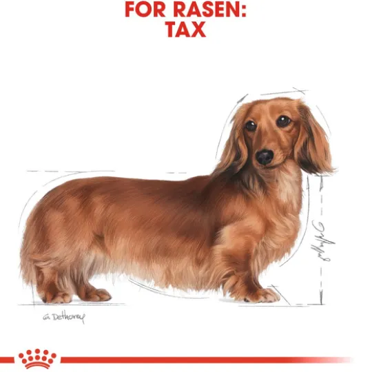 Royal Canin Dachshund Adult Loaf Våtfoder för Hund 1,02 kg