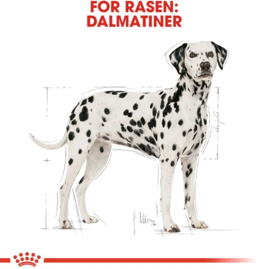 Royal Canin Dalmatian Adult Torrfoder för Hund 12 kg