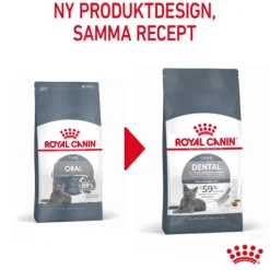 Royal Canin Dental Care Adult Torrfoder för Katt 1,5 kg