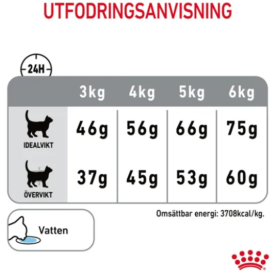 Royal Canin Dental Care Adult Torrfoder för Katt 3,5 kg
