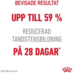 Royal Canin Dental Care Adult Torrfoder för Katt 3,5 kg