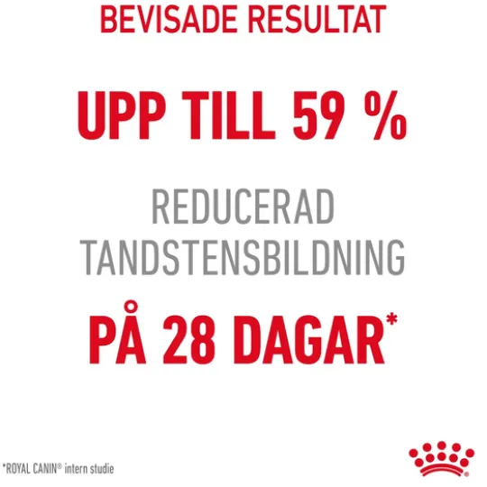 Royal Canin Dental Care Adult Torrfoder för Katt 3,5 kg