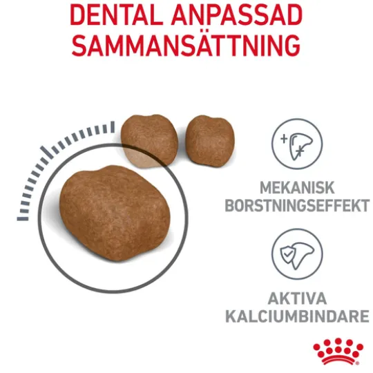 Royal Canin Dental Care Adult Torrfoder för Katt 3,5 kg