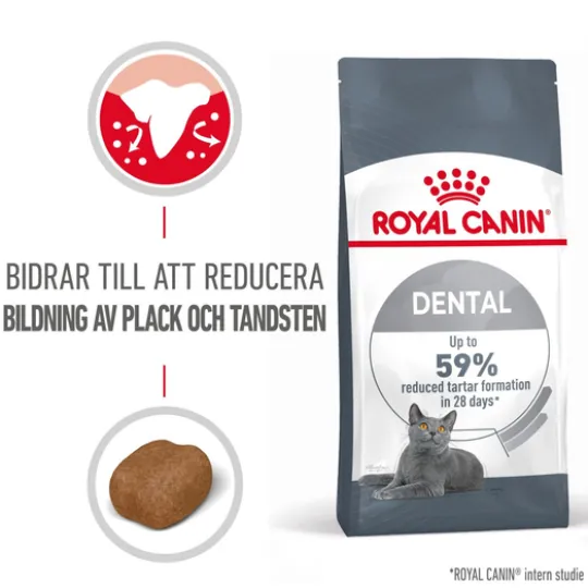 Royal Canin Dental Care Adult Torrfoder för Katt 8 kg