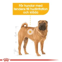 Royal Canin Dermacomfort Medium Adult Torrfoder för Hund 12 kg