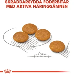 Royal Canin Dermacomfort Mini Adult Torrfoder för Hund 3 kg