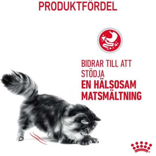 Royal Canin Digestive Care Adult Torrfoder för Katt 10 kg