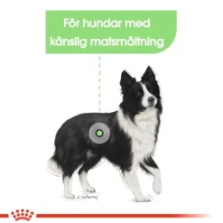Royal Canin Digestive Care Medium Adult Torrfoder för Hund 12 kg