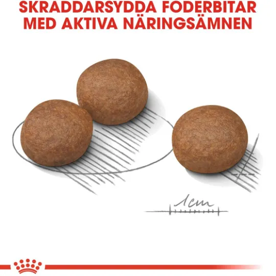 Royal Canin Digestive Care Medium Adult Torrfoder för Hund 12 kg